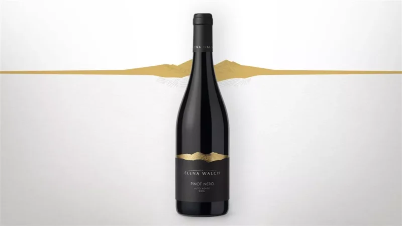 Weingut Elena Walch Blauburgunder 0,75l