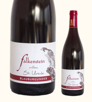 Weingut Falkensteiner Blauburgunder St. Ursula 0,75l