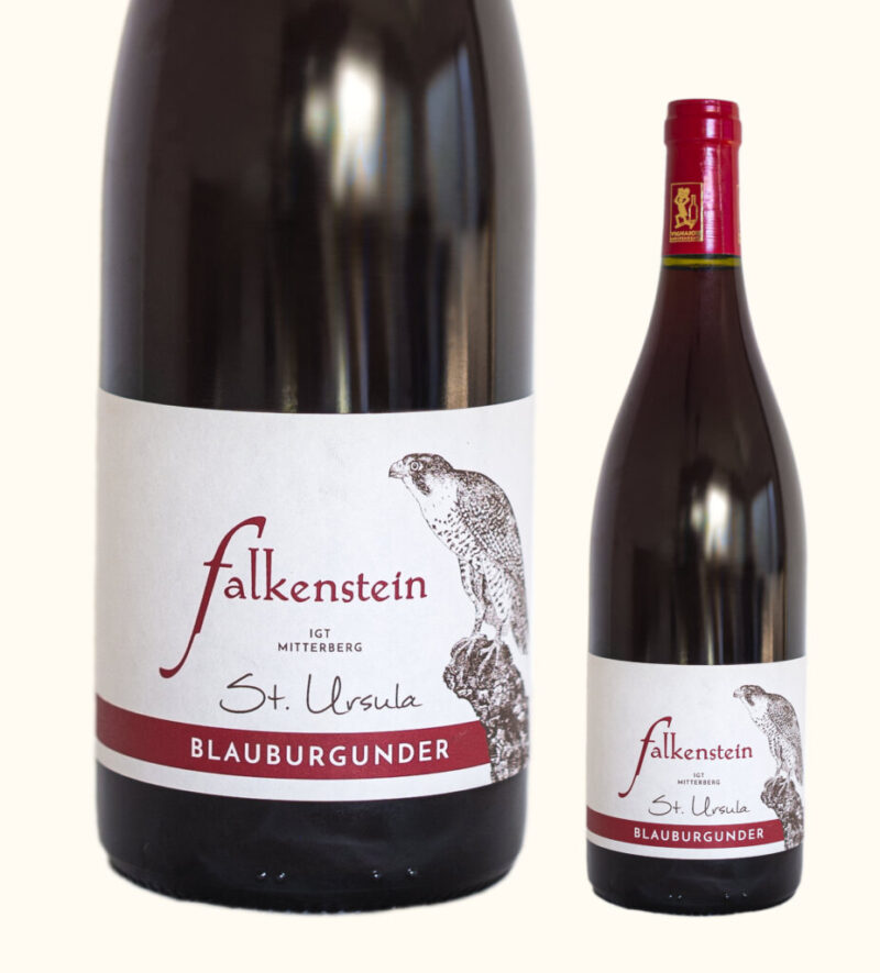 Weingut Falkensteiner Blauburgunder St. Ursula 0,75l
