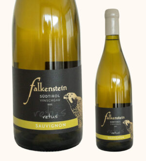 Weingut Falkensteiner Sauvignon Retus 0,75l