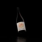 Schlosskellerei Tiefenbrunner Linticlarus Blauburgunder Riserva 0,75l