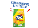 TUC Mini Sour Cream and Onion 100g