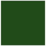 Braun+Company Servietten Green Forest Grün 33x33cm 20Stück