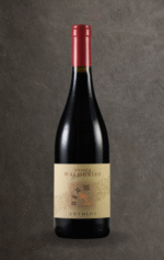 Ansitz Waldgries St. Magdalener Classico Antheos 0,75l