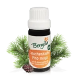 Bergila Ätherische Öle Latschenkiefer 10ml