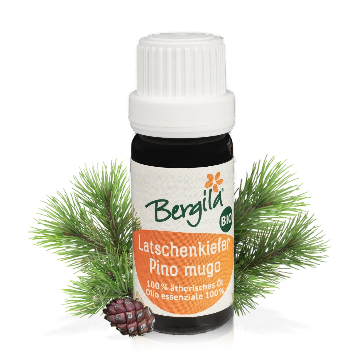 Bergila Ätherische Öle Latschenkiefer 10ml