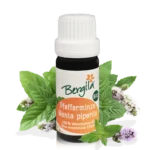 Bergila Ätherische Öle Pfefferminze 10ml