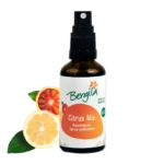Bergila Bio Raumspray Cirus Mix 50ml