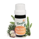 Bergila Ätherische Öle Wild Forest 10ml